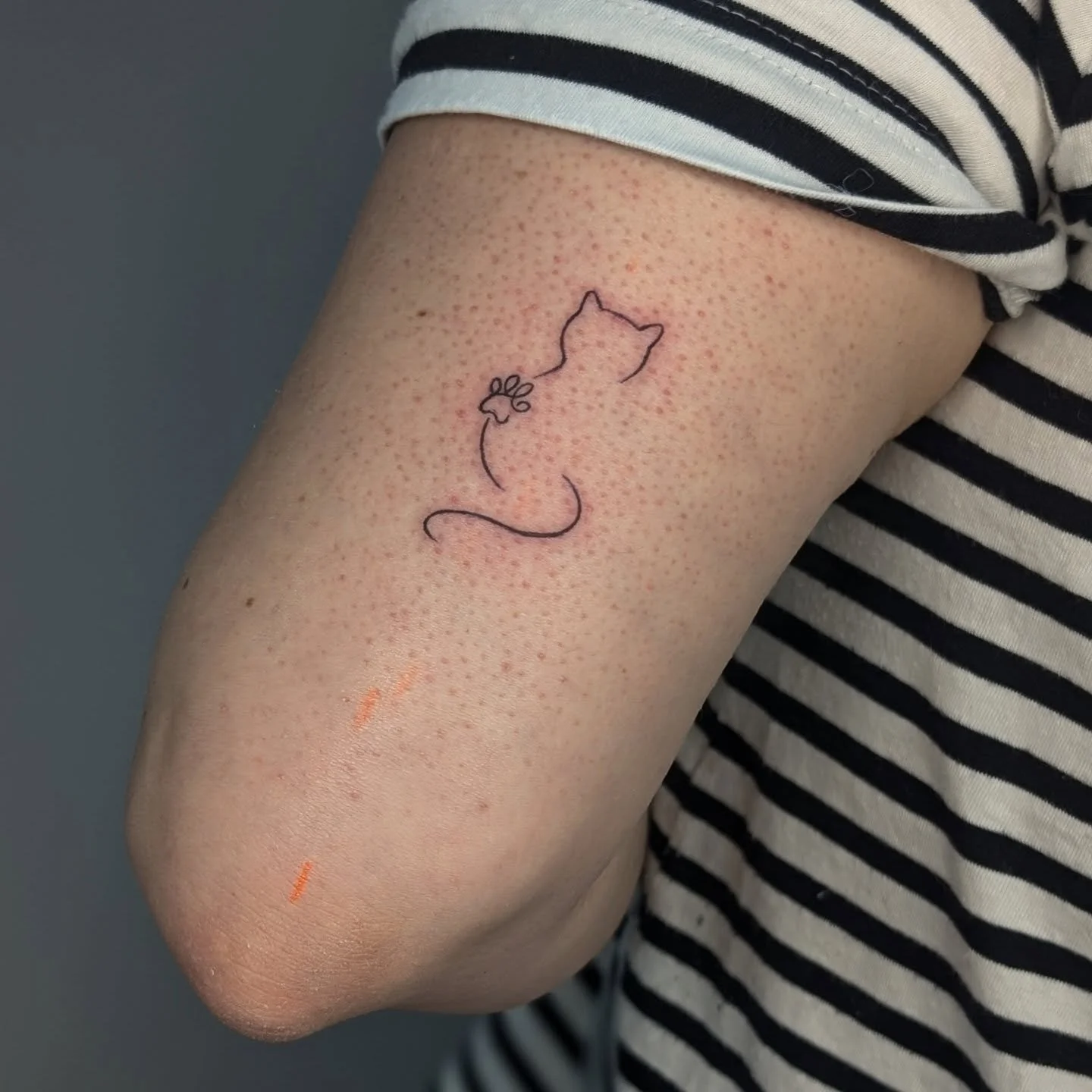 Life lately as a tattoo artist. I am so grateful for every tattoo I get the chance to work on, small or large. I am so grateful for your trust and for choosing me as your artist when there are so many options out there. Here are some moments from the