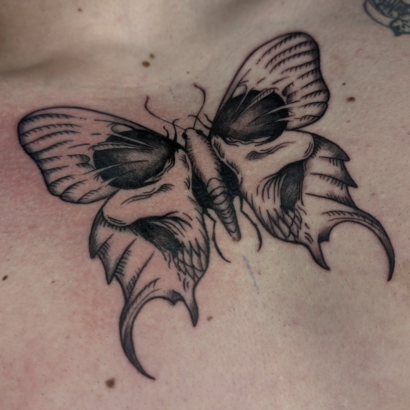 Blackwork butterfly done a while back. I love working on anything that involves blackwork, skulls and butterflies. Bookings for March are open 😁
.
.
#tattoo #butterflytattoo #blackworktattoo #ancaporaink #targumures