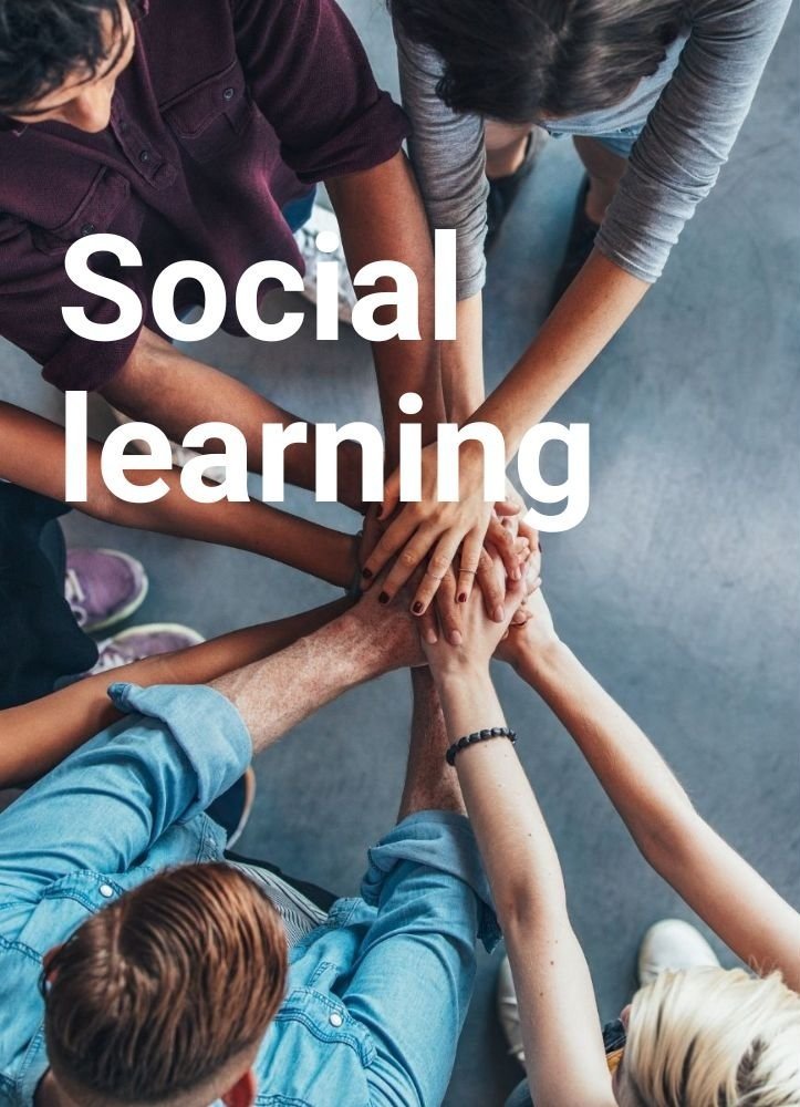 social læring