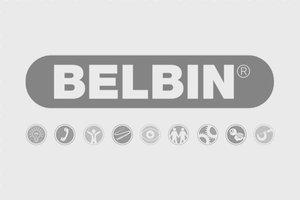 Belbin