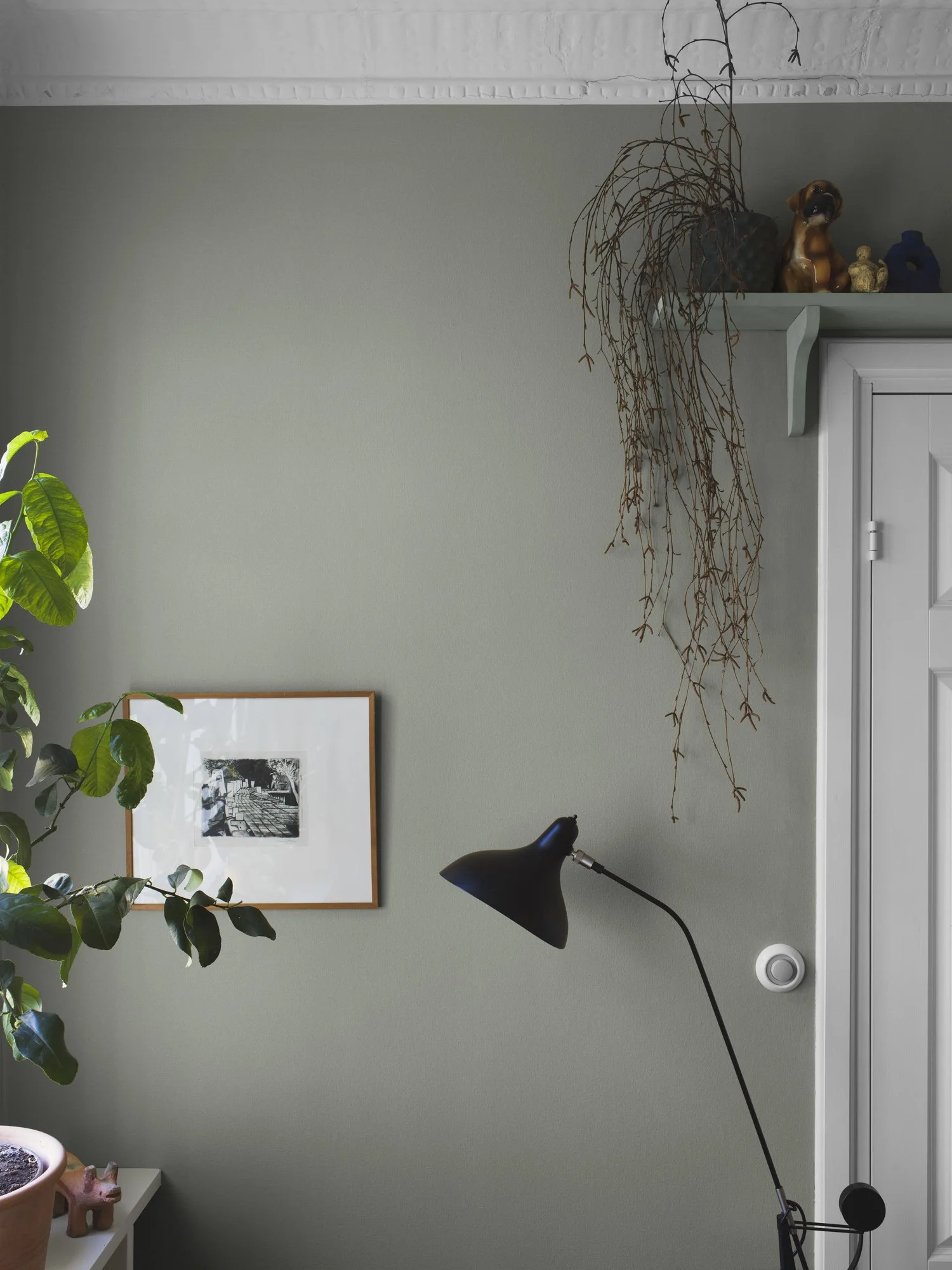 Cambrian_Sand_Image_Roomshot_Hallway_Item_7583_PR.jpg