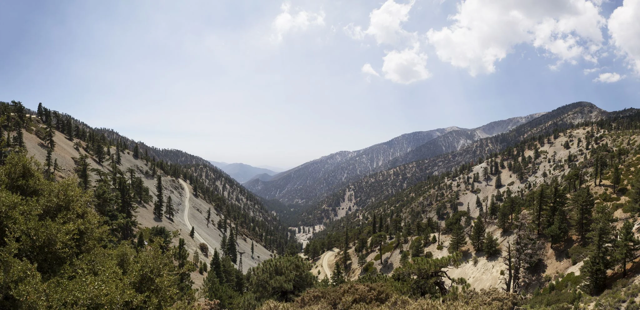 Mt Baldy pano.jpg