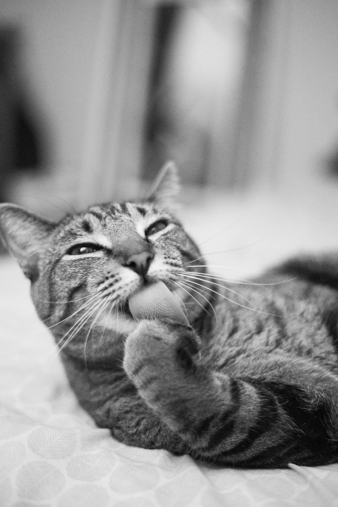 IMG_0068.jpg
