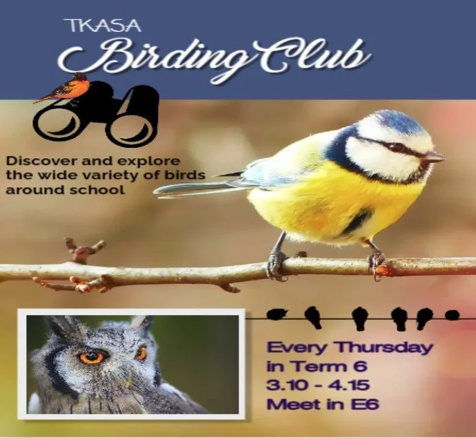 Birding.jpg