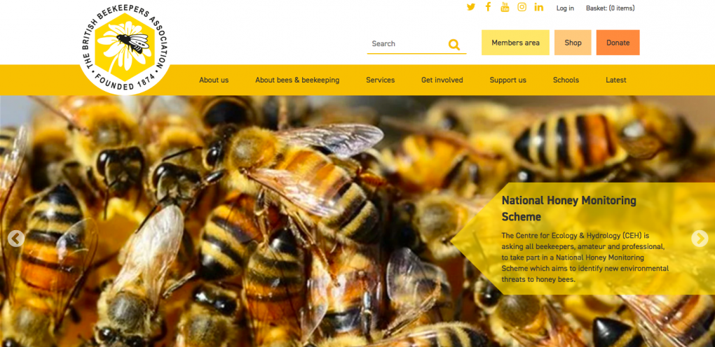 BBKA Homepage Sample.png