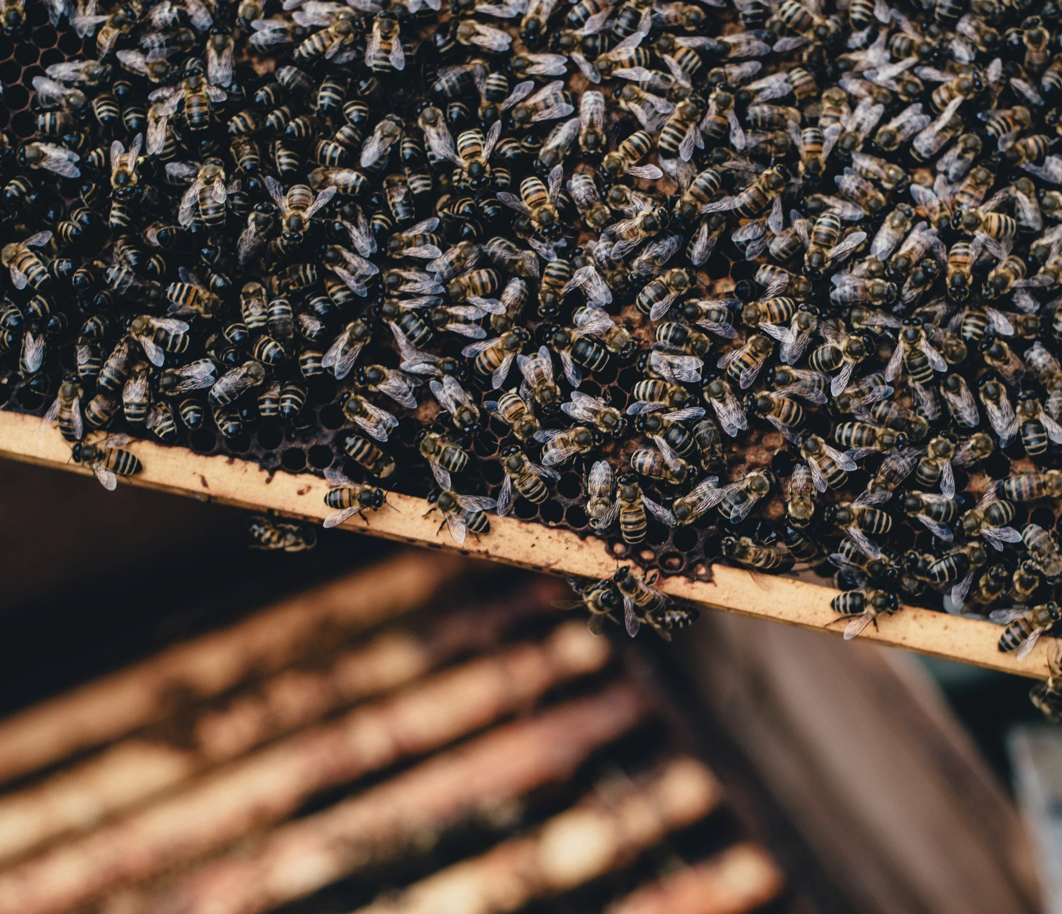 Hive Parts For Sale