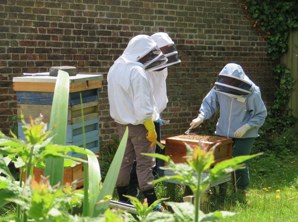 KW Beekeepers Group.jpg