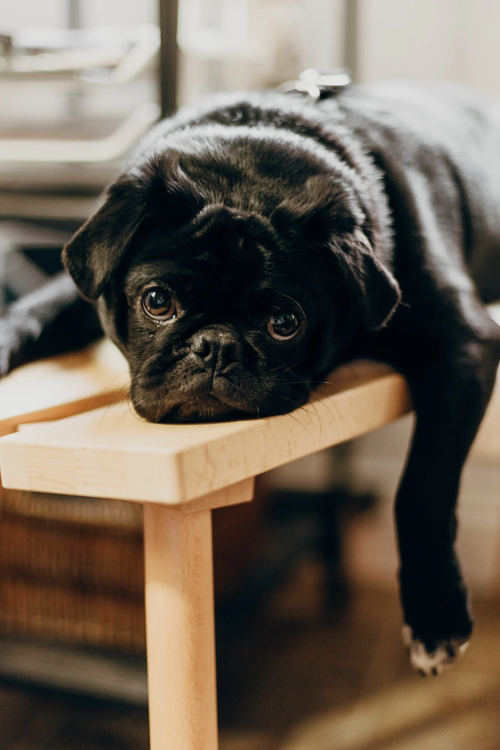 Tip 2 - Boredom: professional boredom and how to recognise the work weary