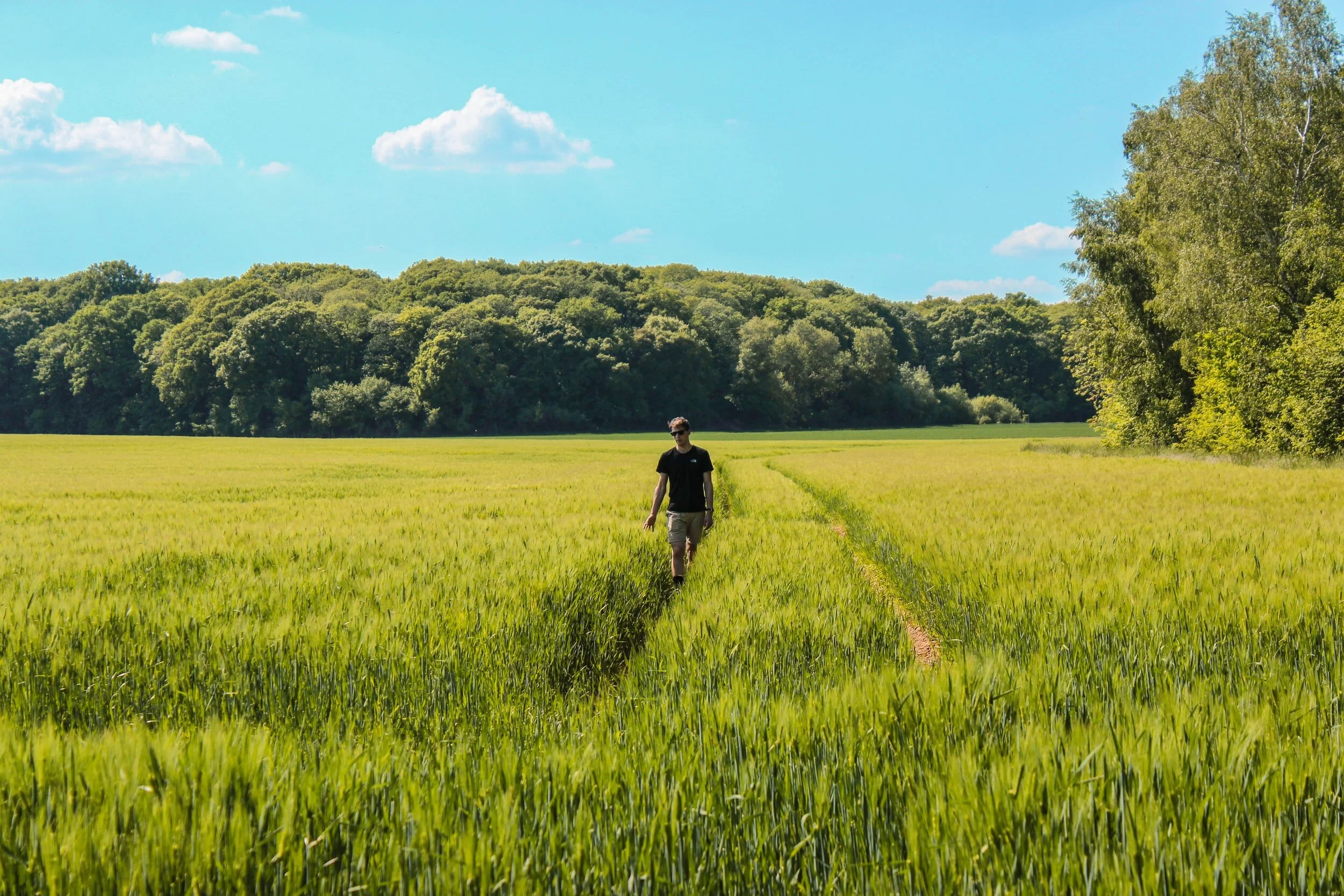 Erosion in the workplace; a well-trodden path