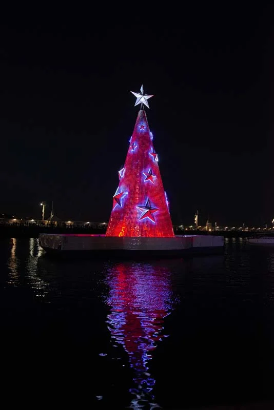 Tree_Launch 59.jpg