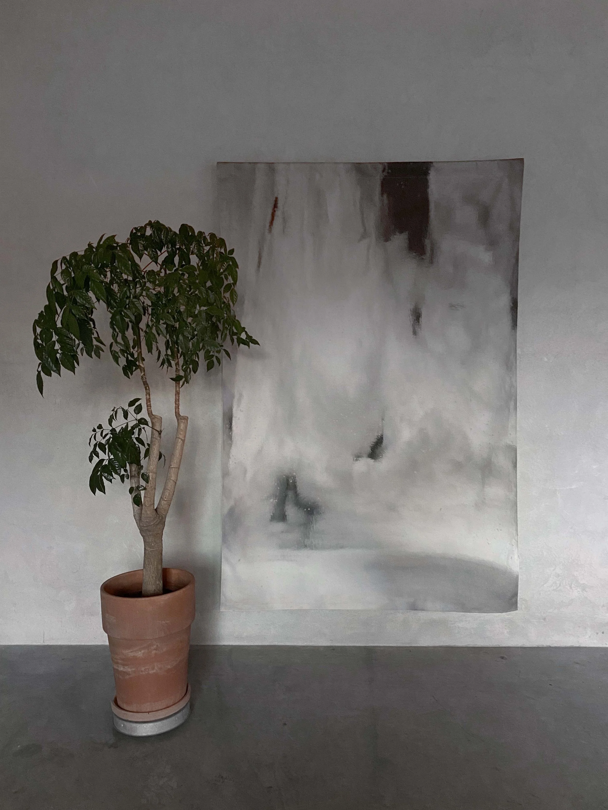 Bilde 26.04.2022 klokken 16.28.JPEG