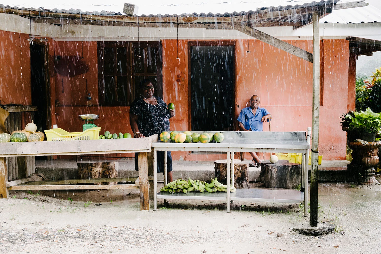 Roadside Fruit Stand, Mahe, Seychelles