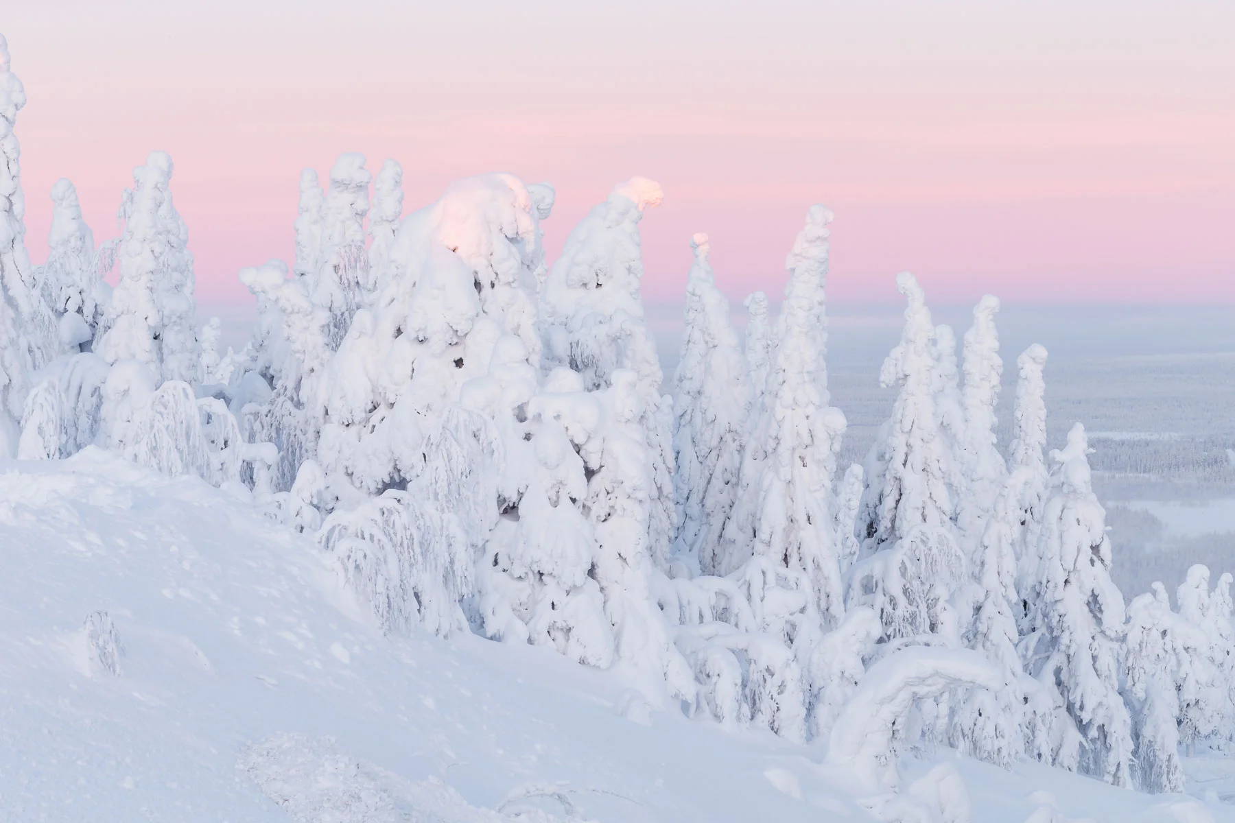 lapland-winter-2web.jpg