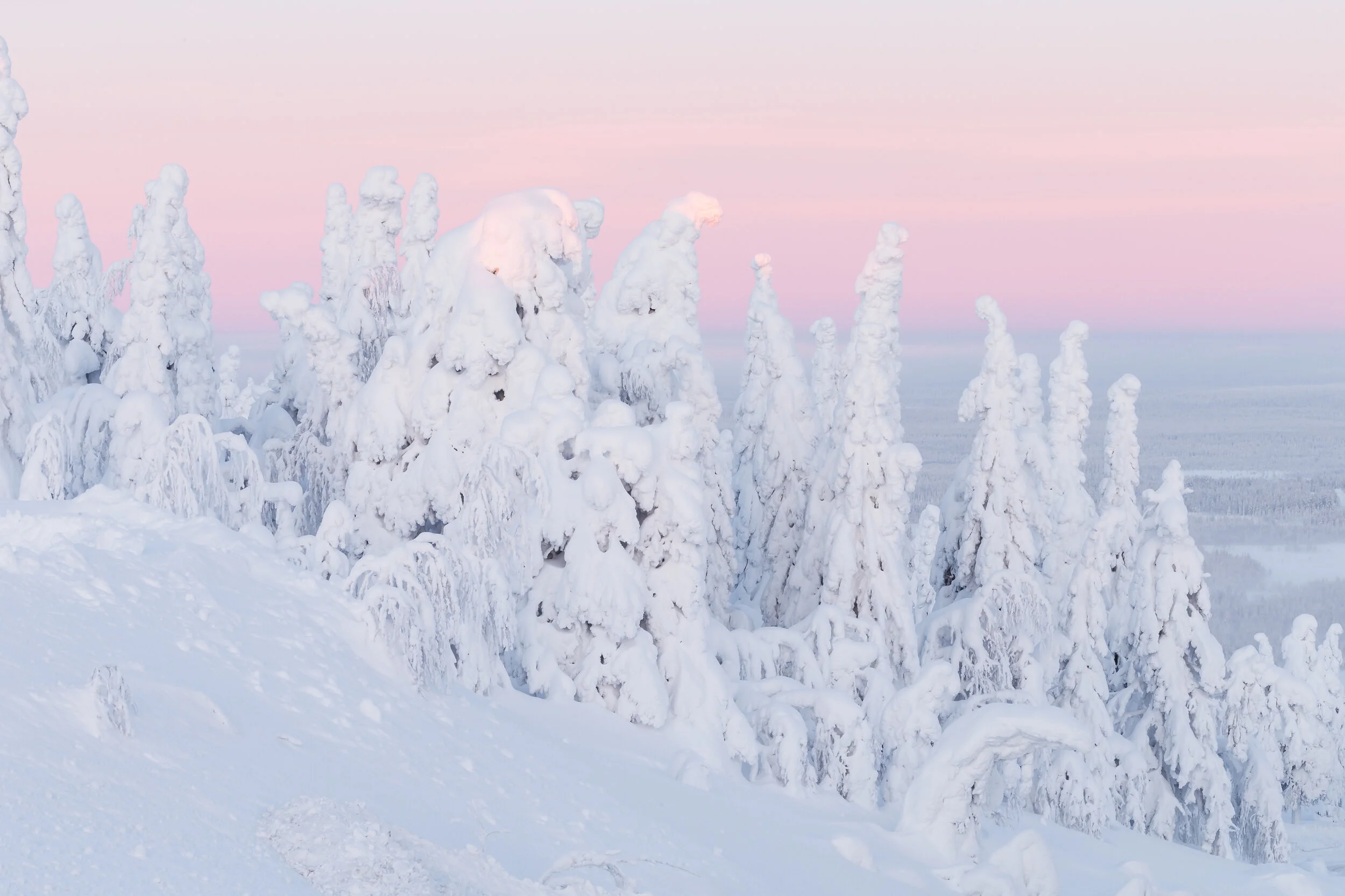 lapland winter-2.jpeg