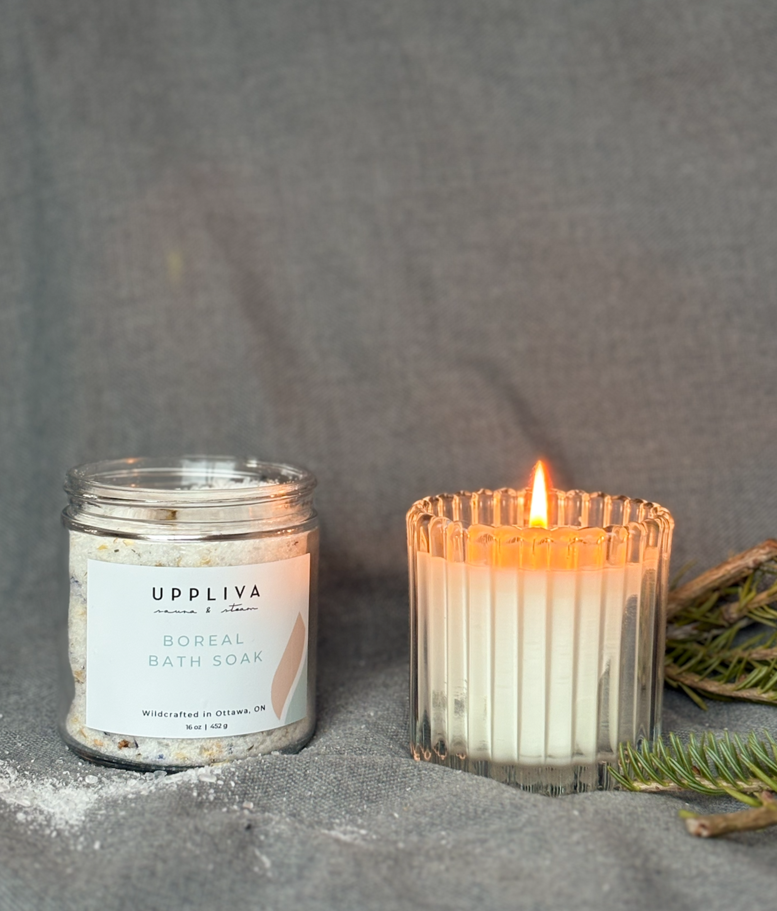 Birchwood + Pine Candle &amp; BOREAL Bath Soak