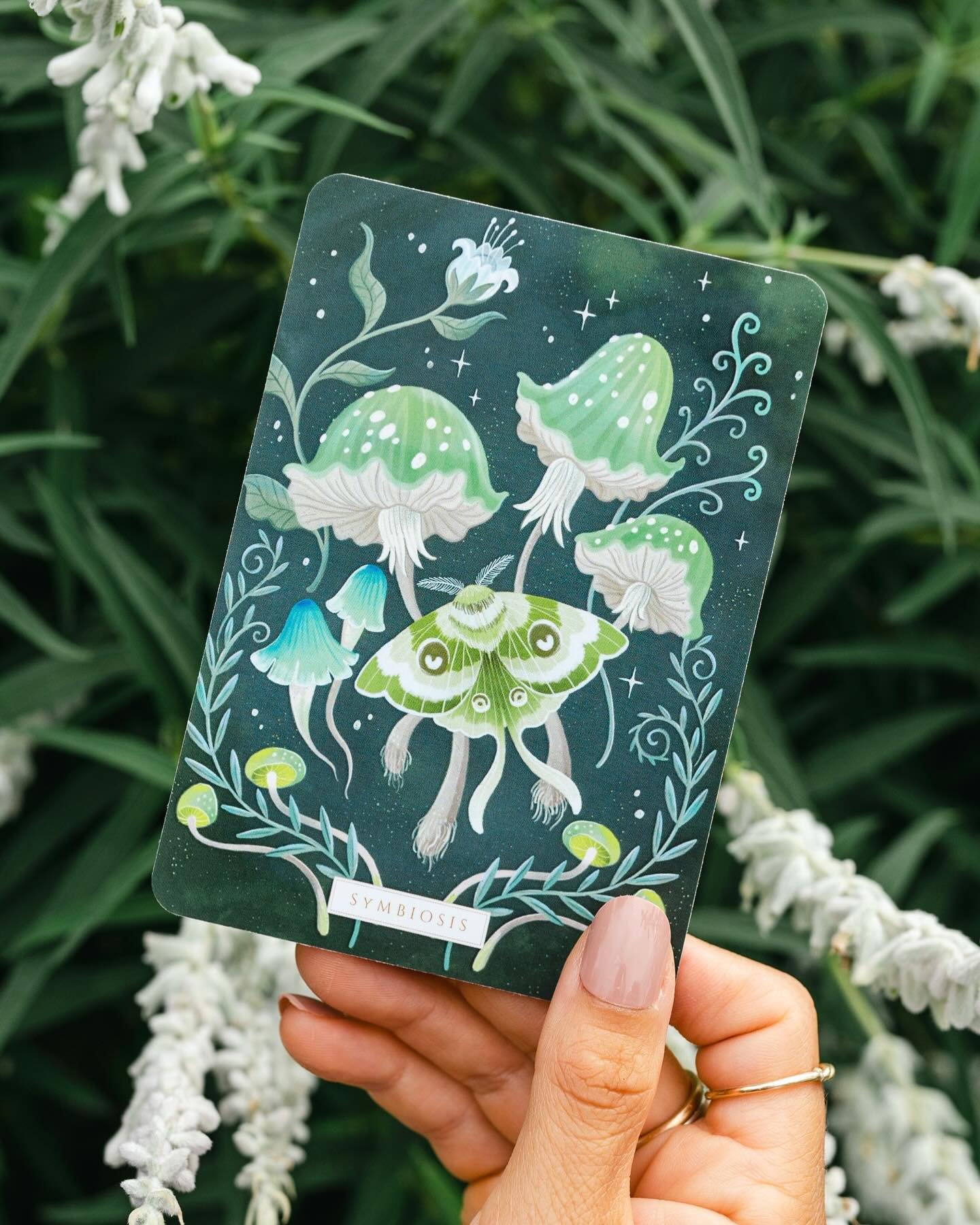 Today&rsquo;s card pull from &lsquo;The Earth Spirit Oracle&rsquo; #oraclecards