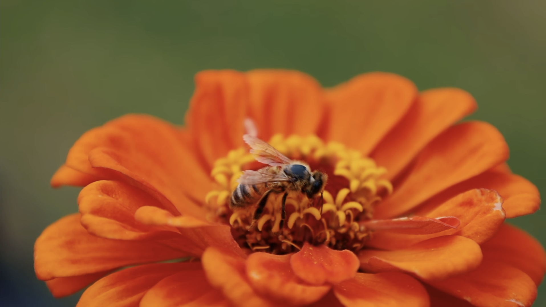 Screenshot 2025-01-24 at 2.18.48 PM.png