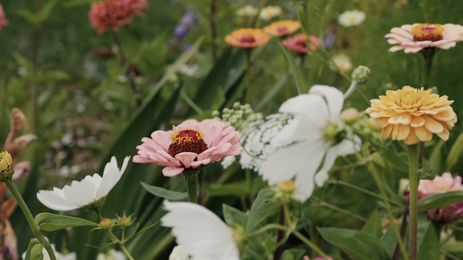 Screenshot 2025-01-24 at 2.18.37 PM.png