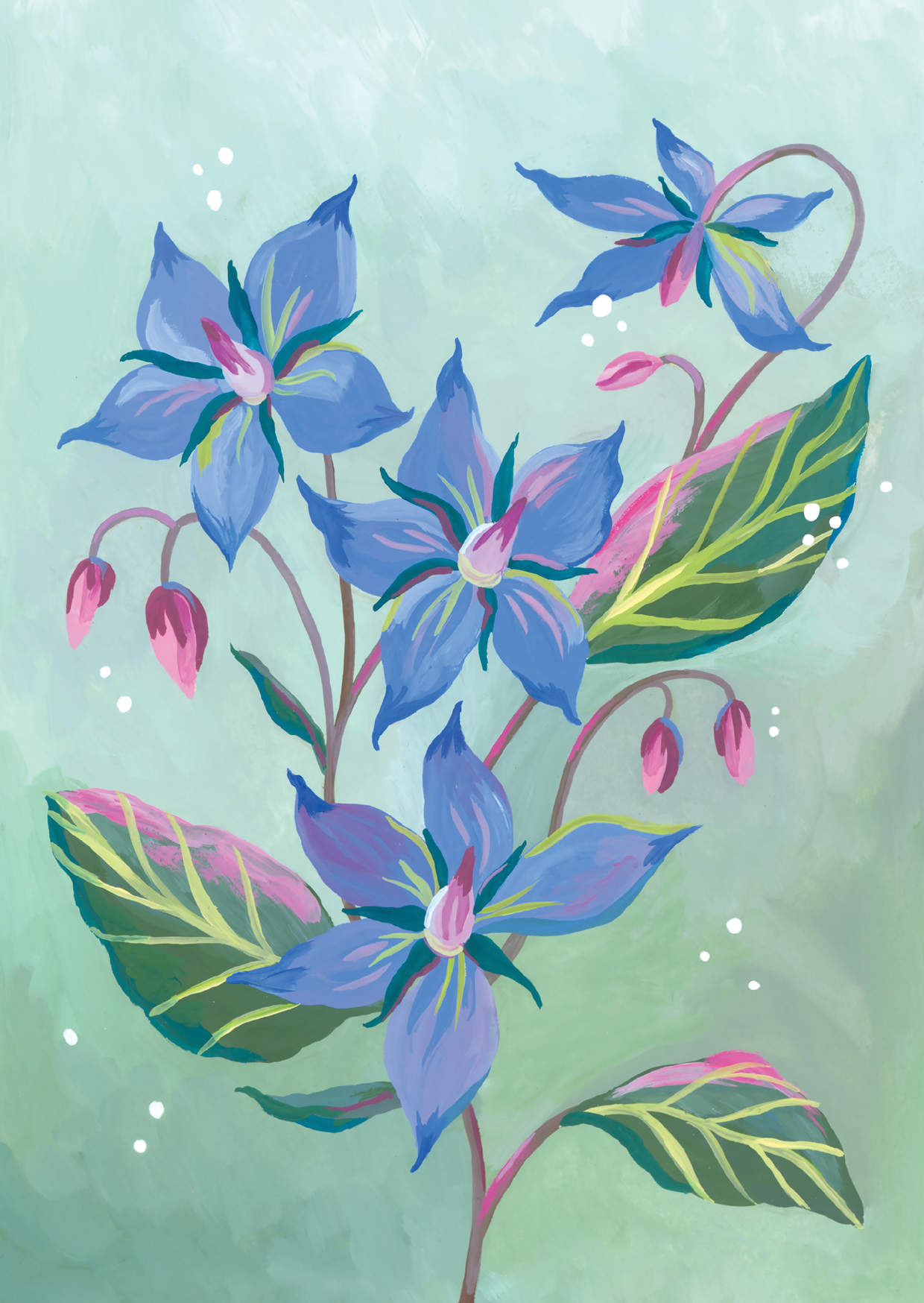Artist's Garden Postcards FRONT.png
