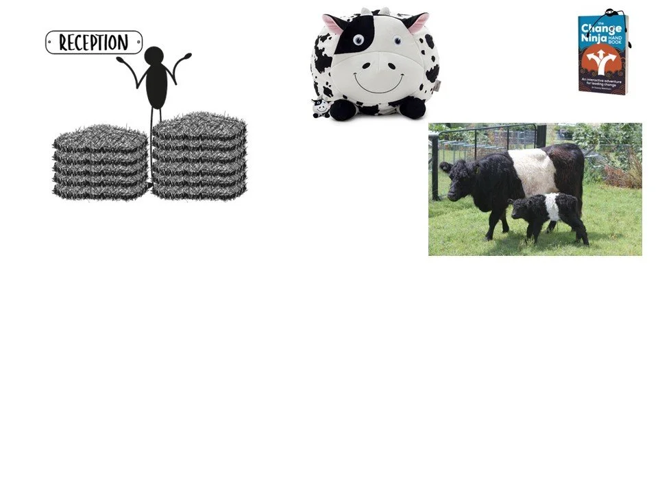 Slide21.JPG