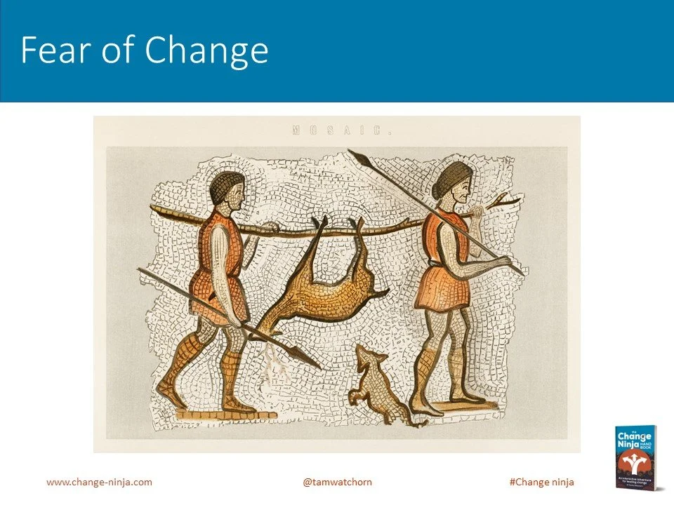 Slide5.JPG