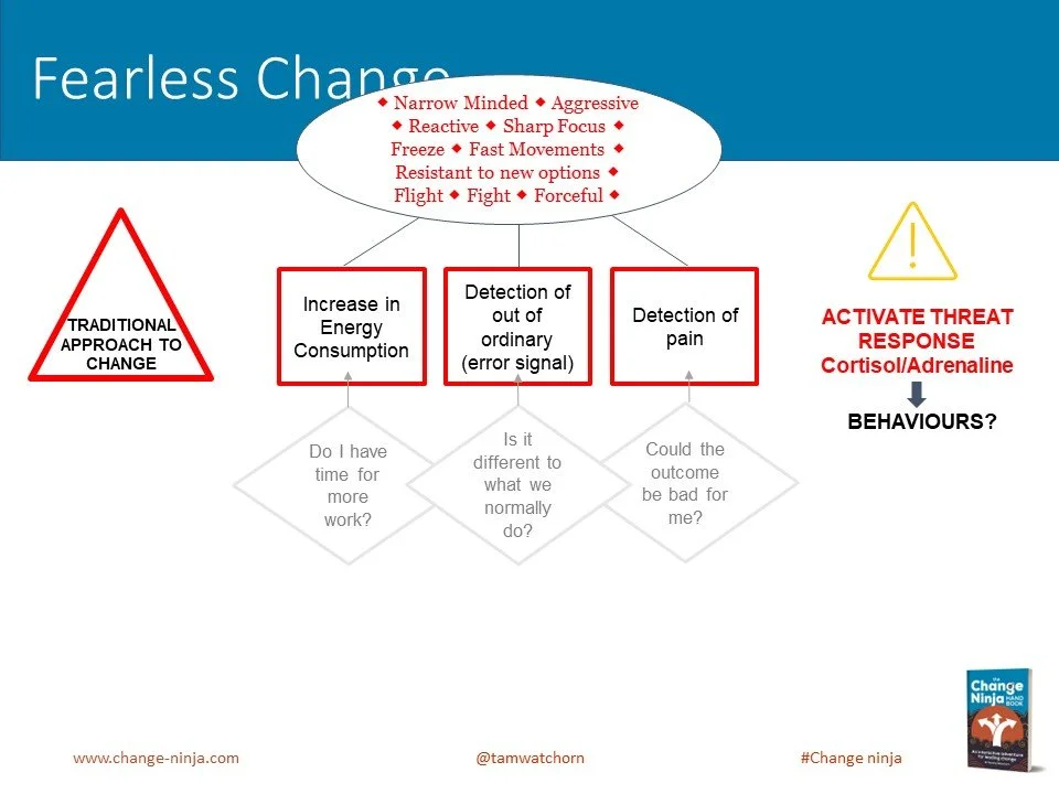 Slide8.JPG