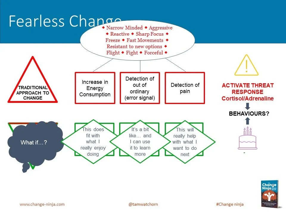 Slide9.JPG