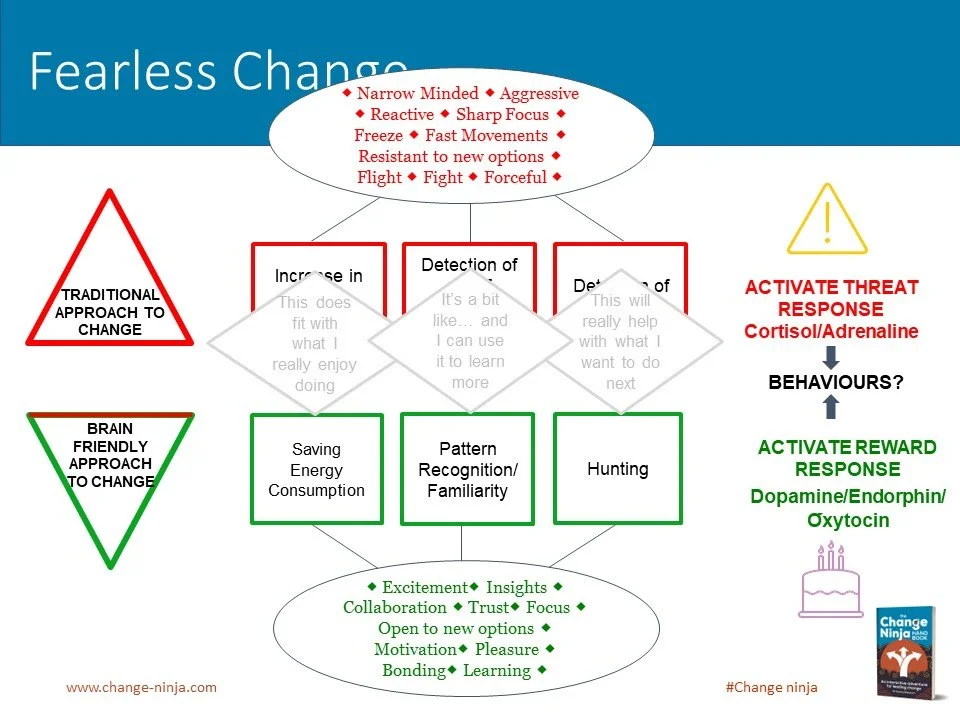 Slide10.JPG