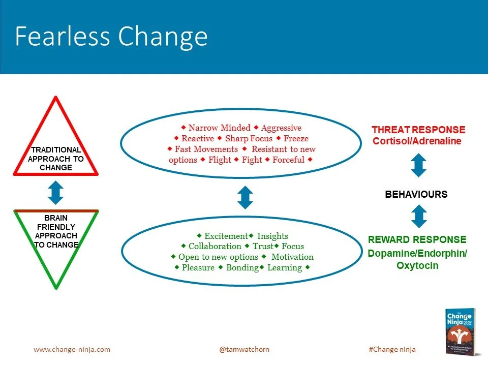 Slide18.JPG