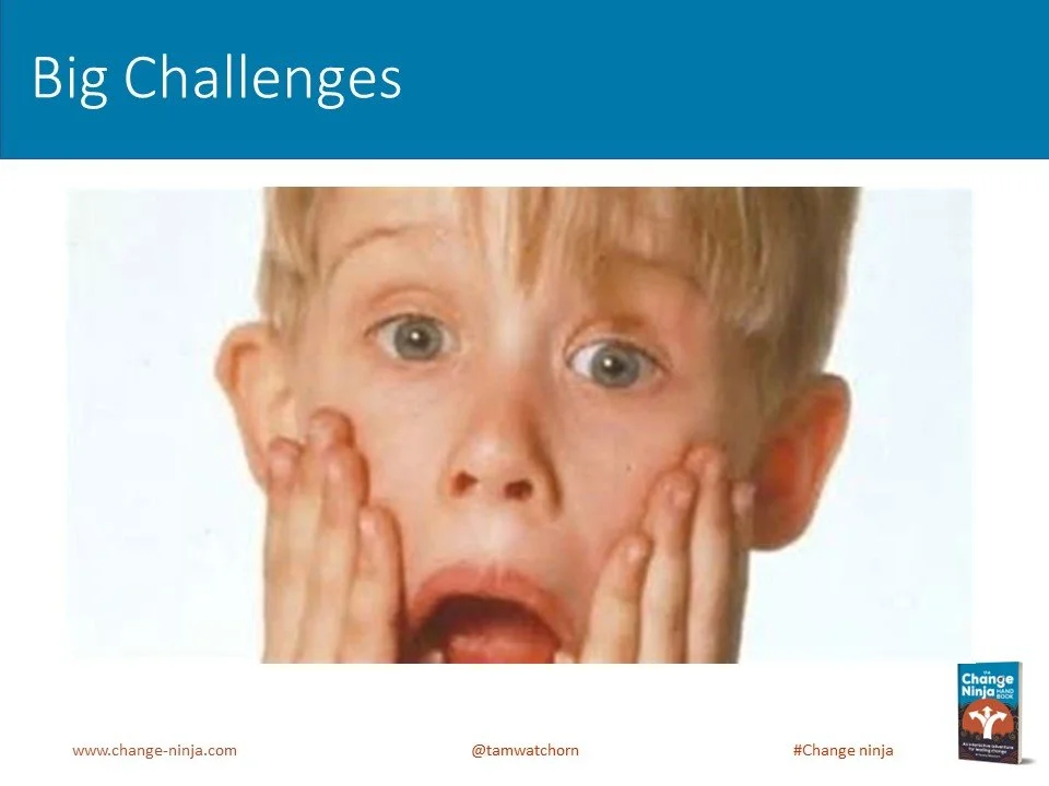 Slide11.JPG