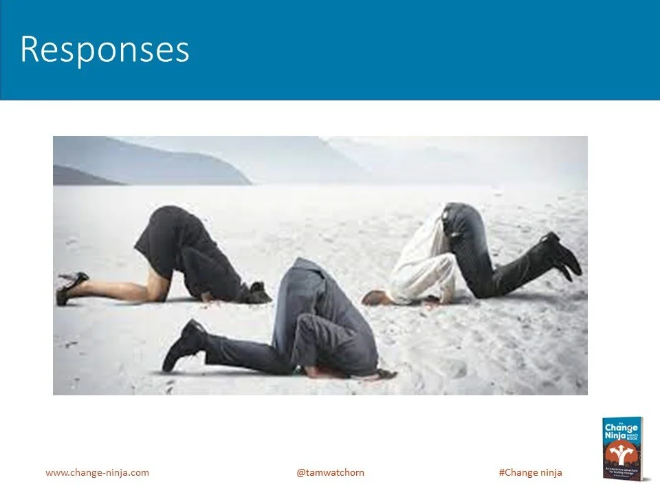 Slide14.JPG