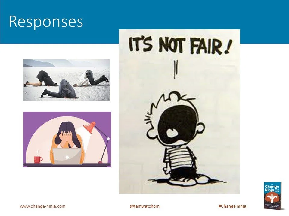 Slide17.JPG