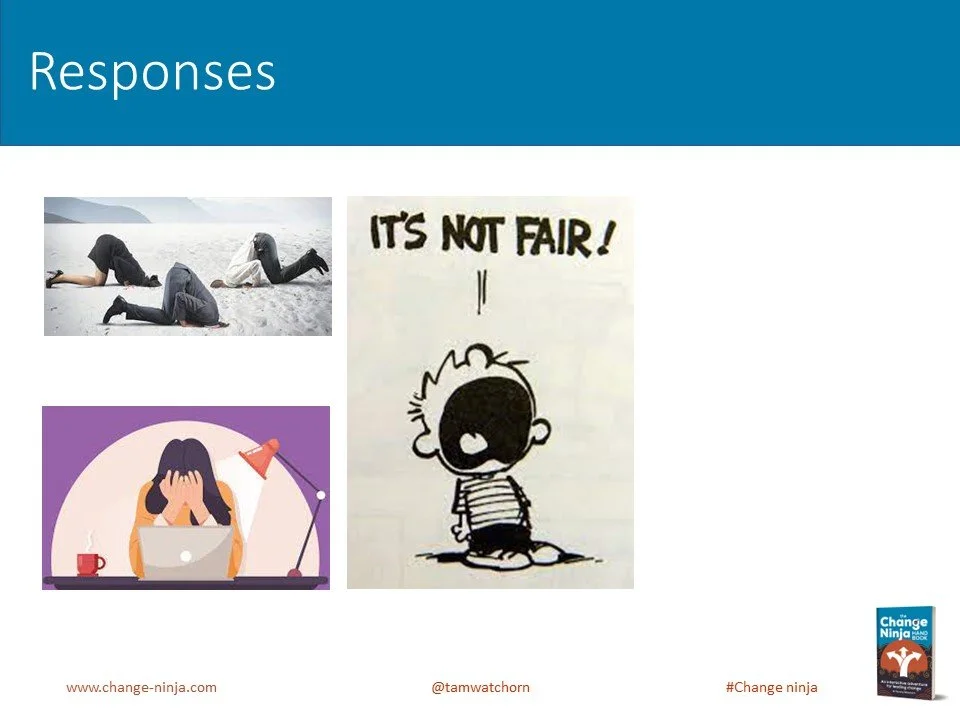 Slide18.JPG