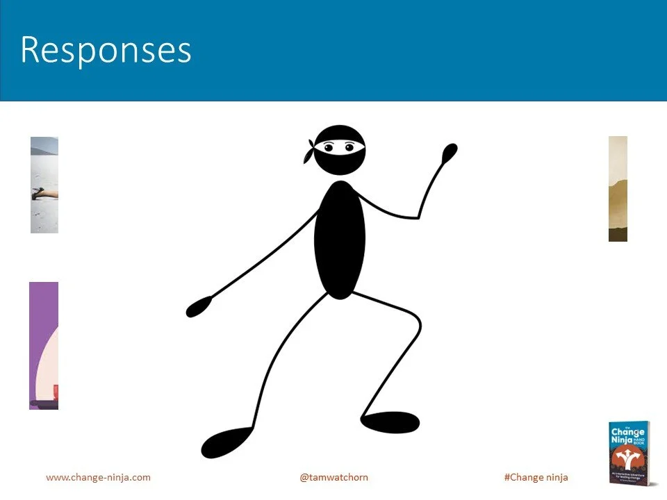 Slide21.JPG