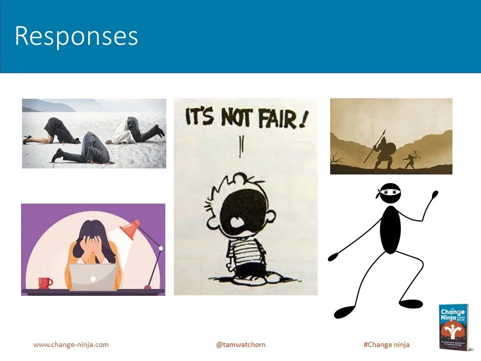 Slide22.JPG
