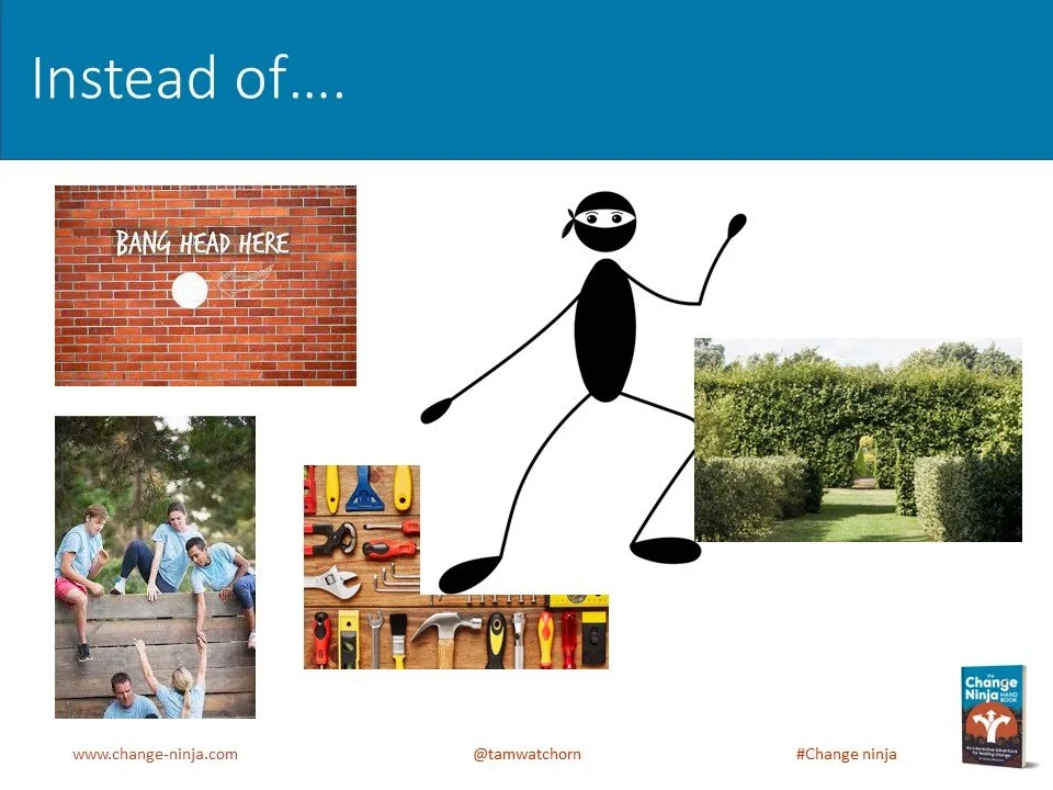 Slide28.JPG