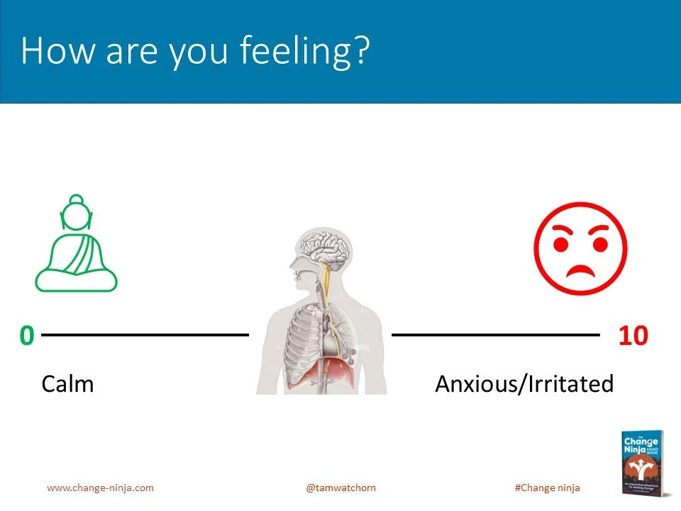 Slide33.JPG