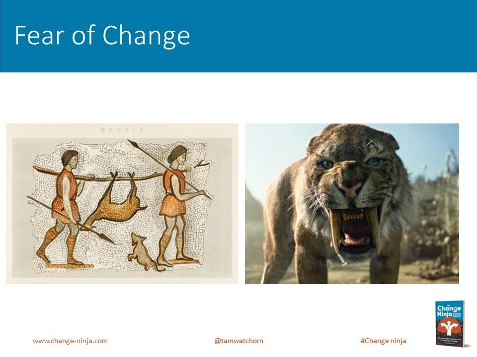 Slide35.JPG