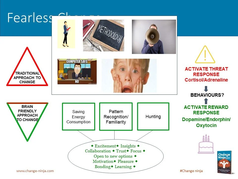 Slide43.JPG