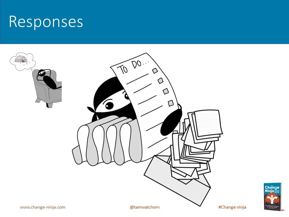 Slide19.JPG