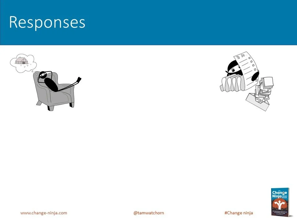 Slide20.JPG