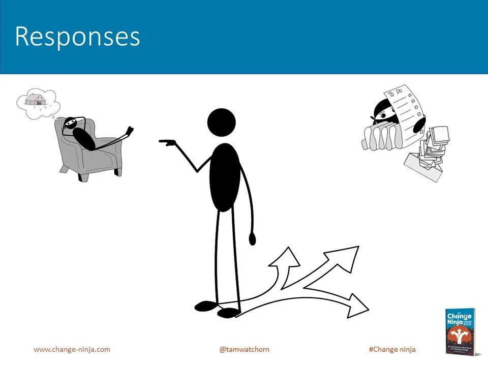 Slide21.JPG
