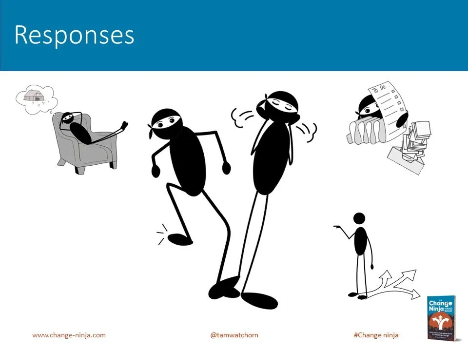 Slide23.JPG