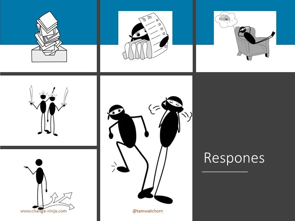 Slide26.JPG
