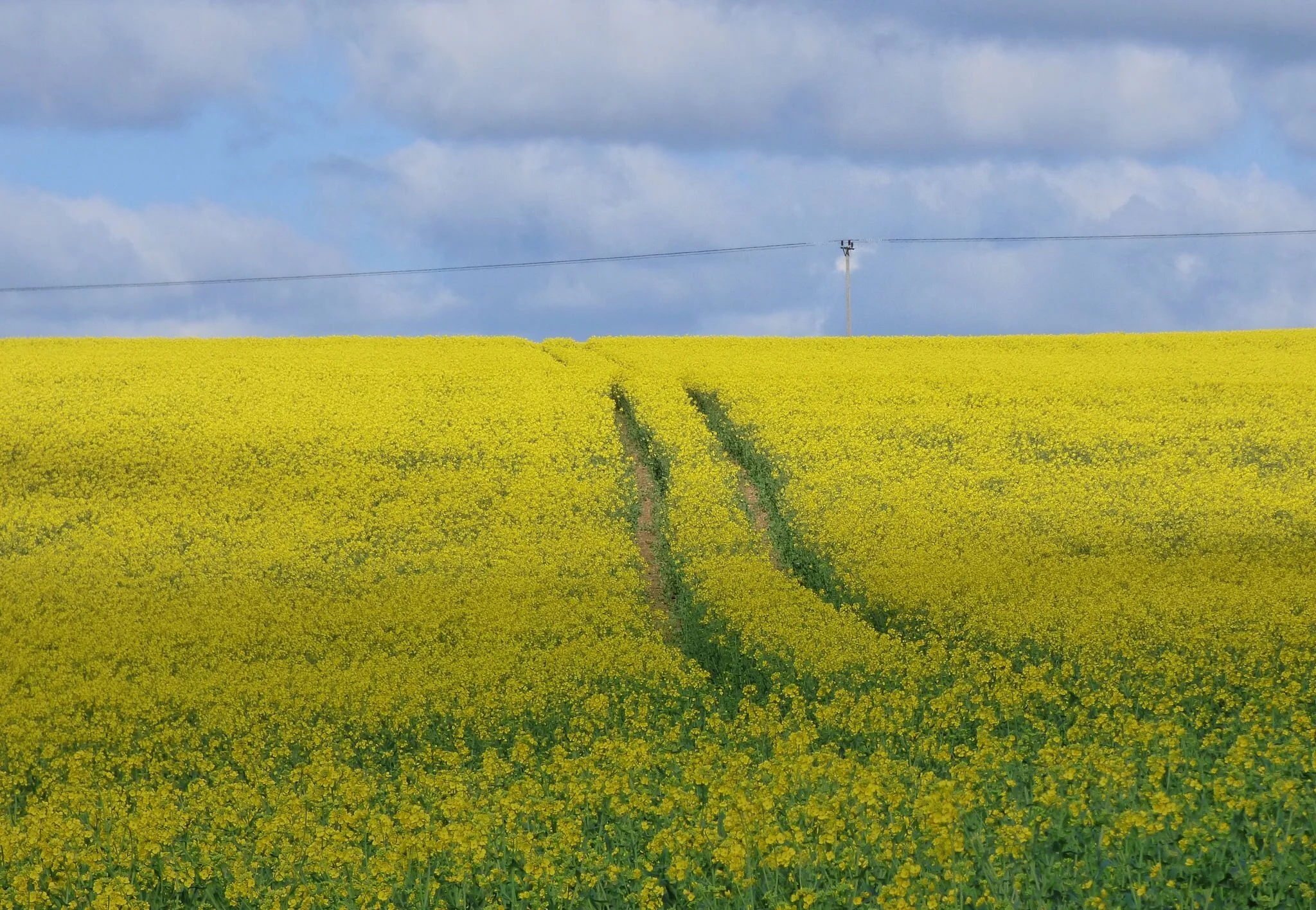 Meanwhile, Back At The Irish Border…