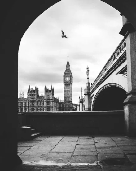 max-de-rohan-willner-423715-unsplash_bw_Web.jpg