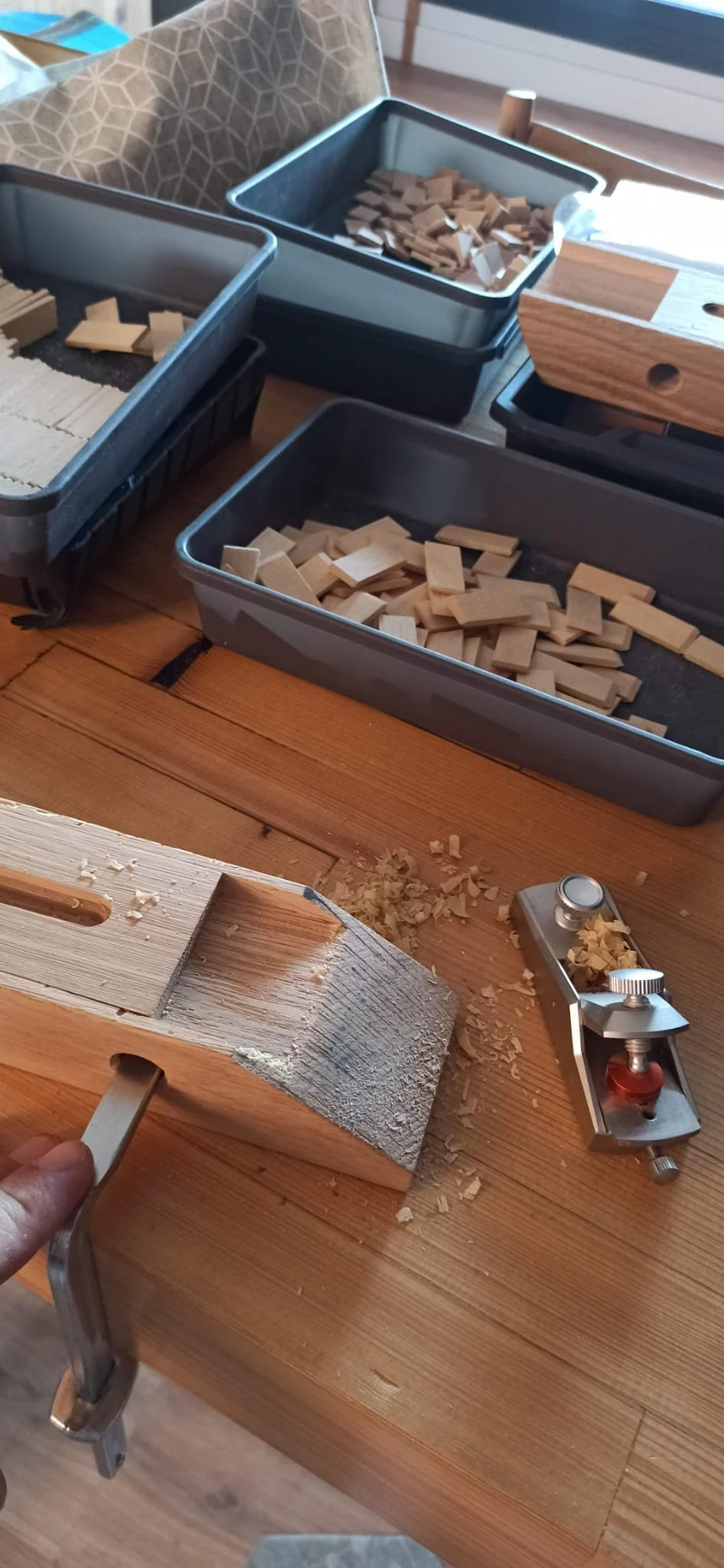 WhatsApp Image 2026-01-26 at 20.02.55.jpeg