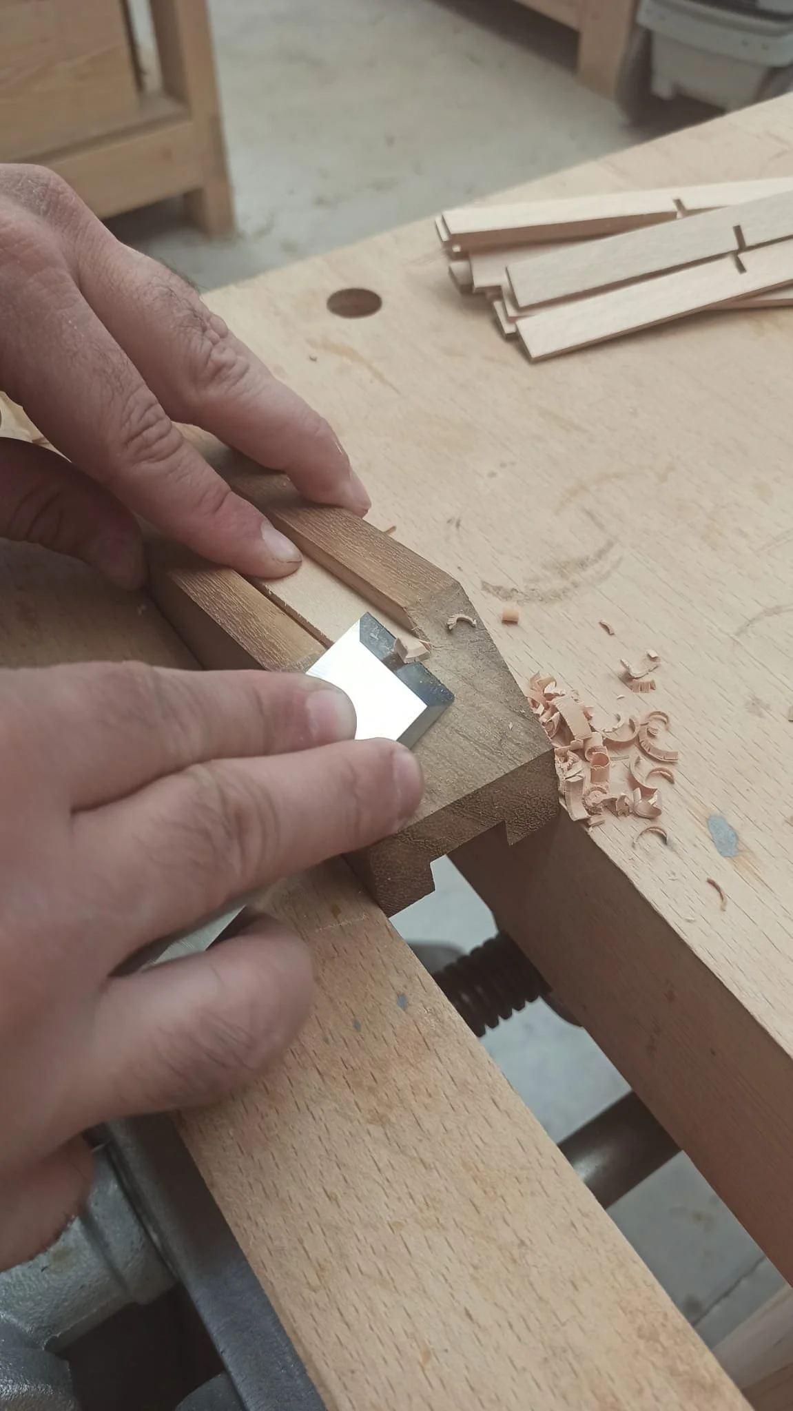 WhatsApp Image 2026-01-26 at 20.02.57 (1).jpeg