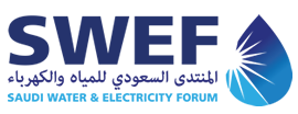 swef_logo21.png