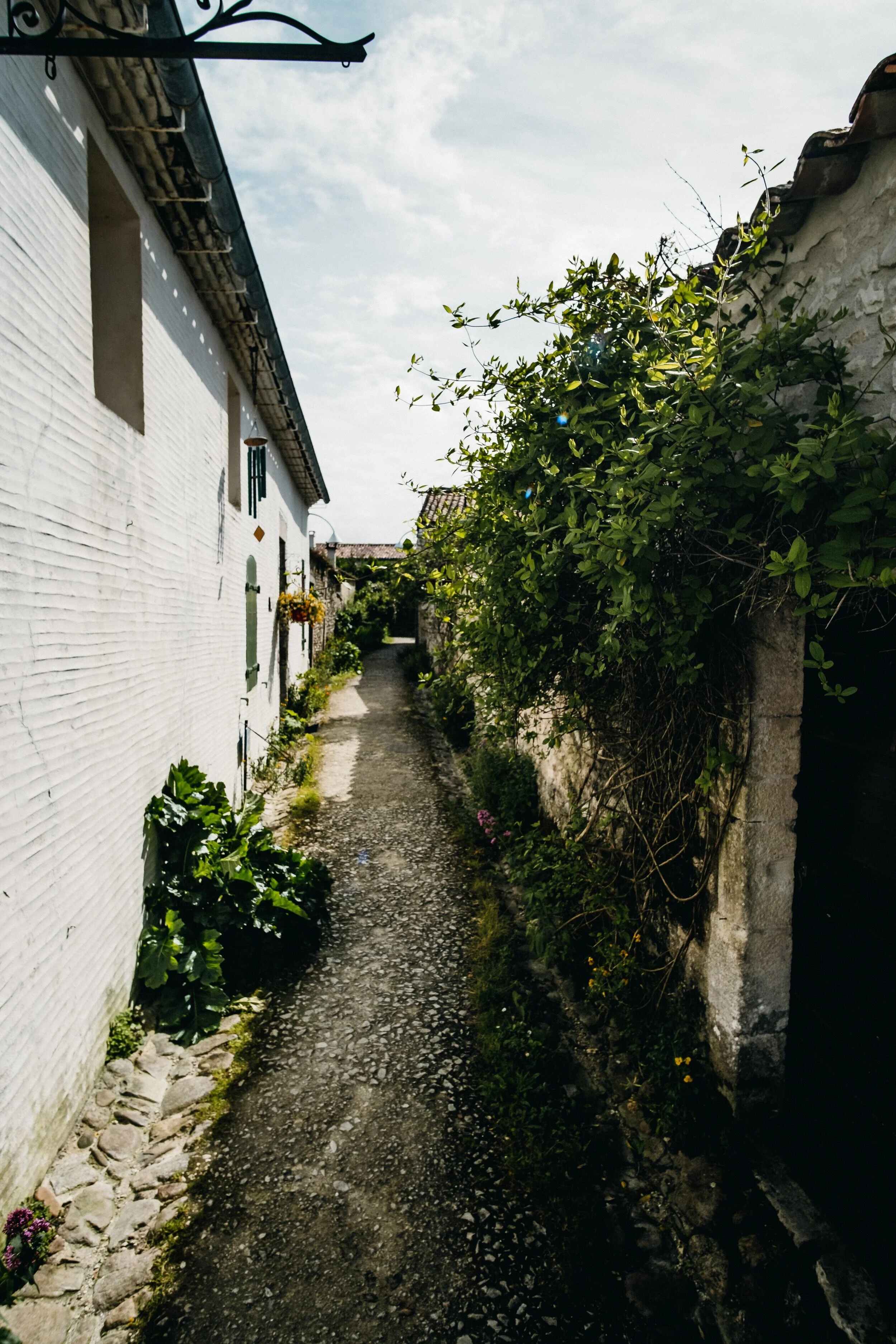 2019DSCF5314FujifilmX-T3X-T3.jpg
